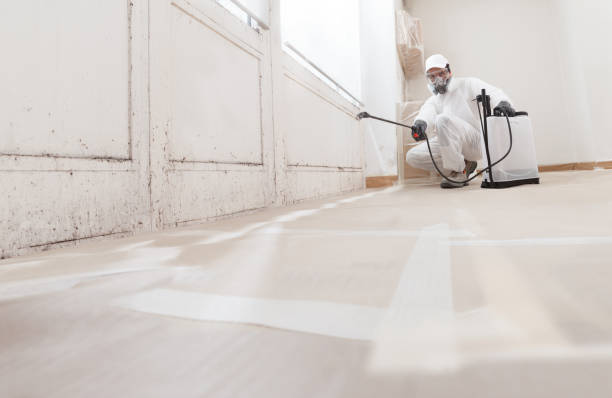24/7 Emergency Mold Removal experts in Waterford, VA